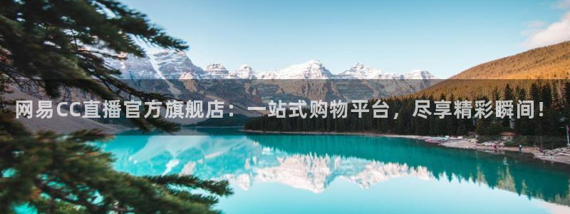 河豚体育nba直播下载