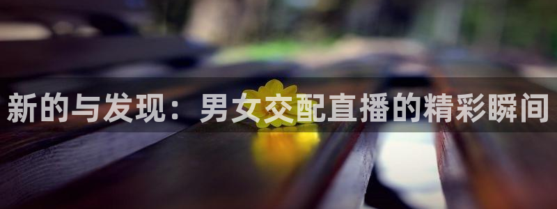 河豚nba直播
