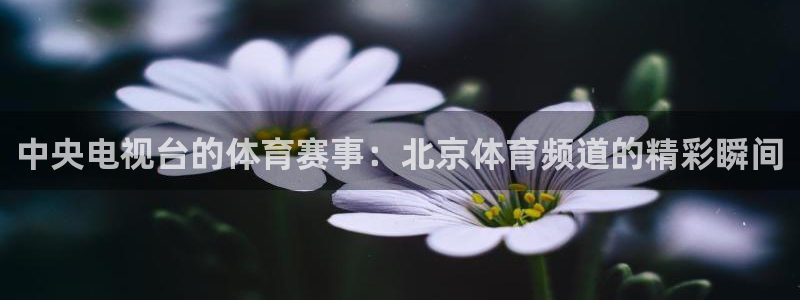 河豚体育直播app
