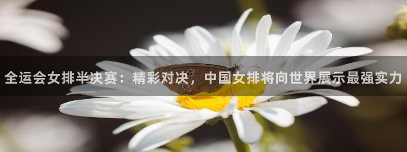河豚nba直播官网