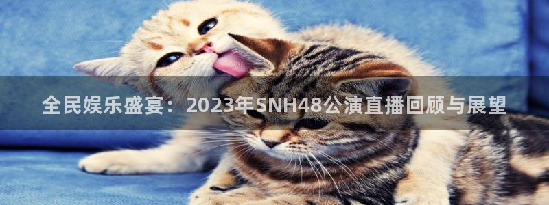 河豚直播体育直播：全民娱乐盛宴：2023年SNH48公演直播回顾与展望