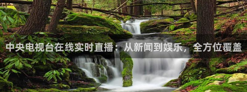 nba河豚体育直播：中央电视台在线实时直播：从新闻到娱乐，全方位覆盖