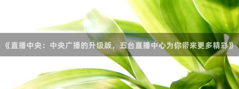 河豚体育赛事直播：《直播中央：中央广播的升级版，五台直播中心为你带来更多精彩》