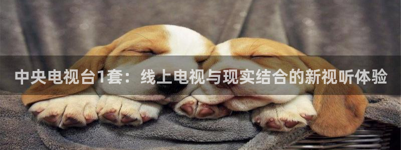 河豚足球直播网：中央电视台1套：线上电视与现实结合的新视听体验