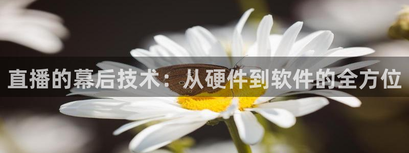 河豚tv直播：直播的幕后技术：从硬件到软件的全方位