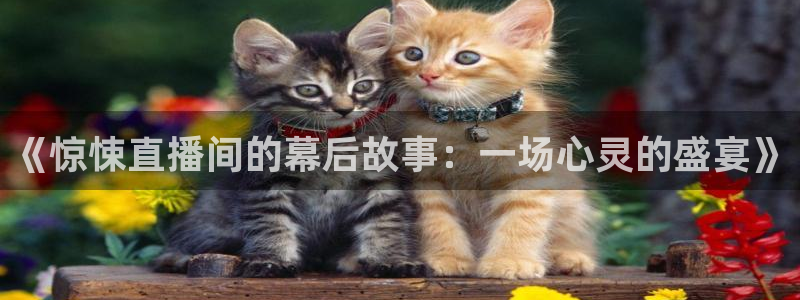 河豚体育足球直播：《惊悚直播间的幕后故事：一场心灵的盛宴》